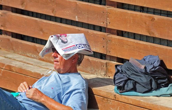 记录数量的游客韦斯顿超级母马由于炎热的天气。