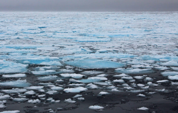 海冰在斯瓦尔巴特群岛