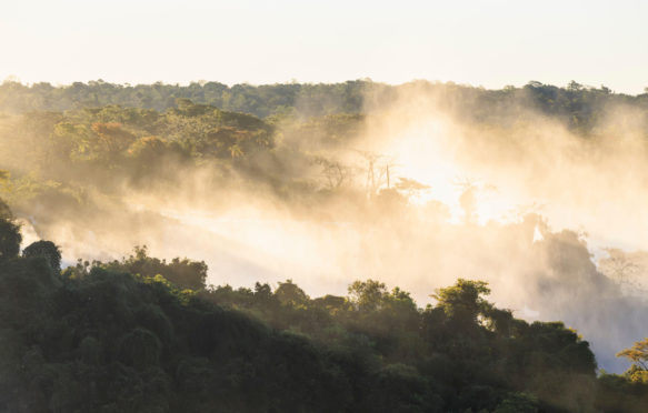 森林和水蒸气,在巴西伊瓜苏国家公园