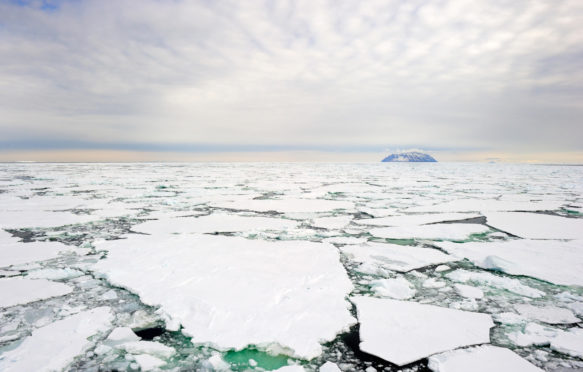 罗斯海的小岛,南极洲,浮冰的前景