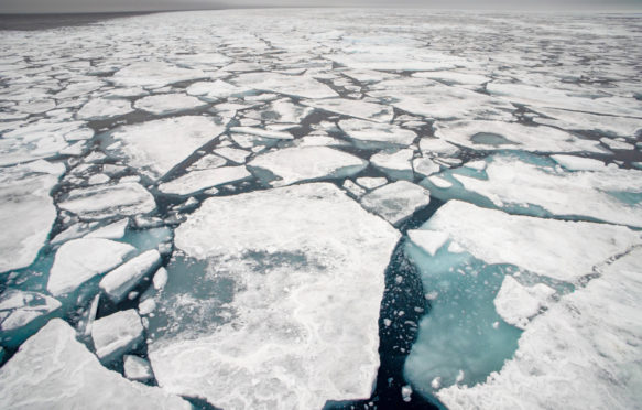 在斯瓦尔巴特群岛北冰洋的浮冰上