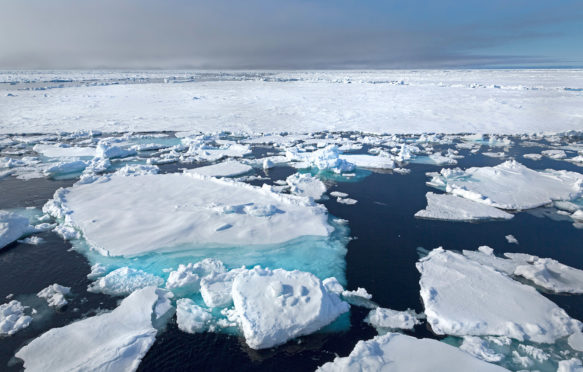挪威斯瓦尔巴特群岛附近的浮冰,。信贷:Naturfoto-Online除股票的照片。