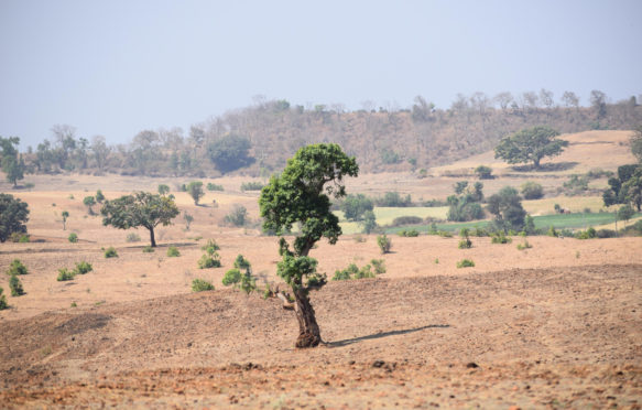 森林砍伐的地区,曾经是一个丛林Satpuda范围,印度