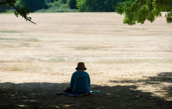 一个女人坐在树荫下的樱草花在严重的热浪,伦敦,英国,2022年7月19日。信贷:xStephen涌除股票的照片。