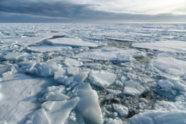 碎片的斯瓦尔巴特群岛北部的北极海冰