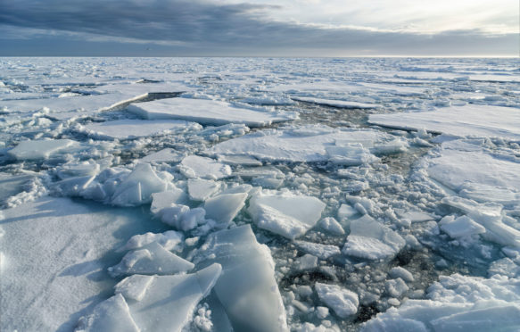 碎片的斯瓦尔巴特群岛北部的北极海冰