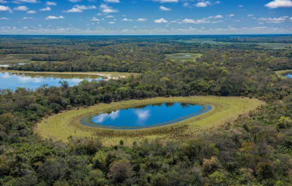 鸟瞰图的蓝色湖泊湿地巴西潘塔纳尔湿地之类。