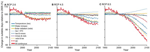 图显示全球平均预计适合植物生长的天的变化从1950年到2100年,