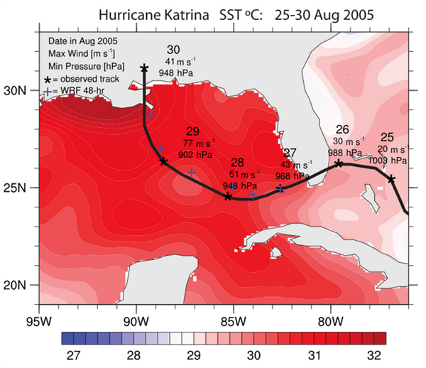 卡特里娜飓风海洋表面温度