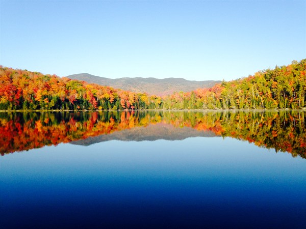 秋天的树木周围的一个湖