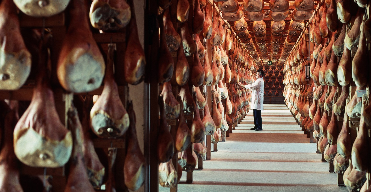 一名工人在储藏室固化的数百名火腿中矗立在圣达尼尔厂的熏火腿