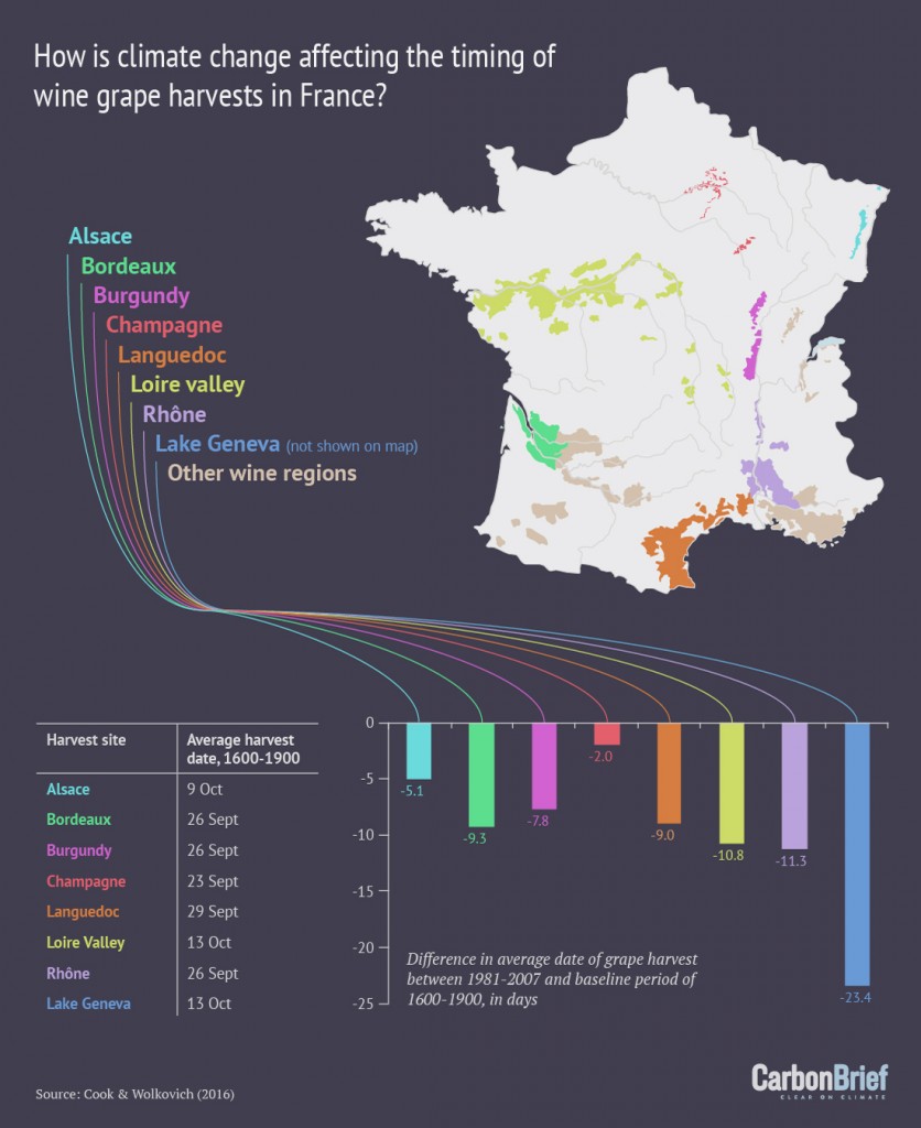 信息图表:气候变化如何影响法国酿酒葡萄的收获时间?