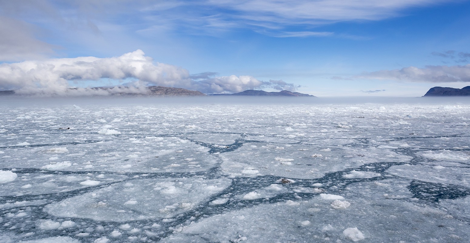 北极海冰在格陵兰岛