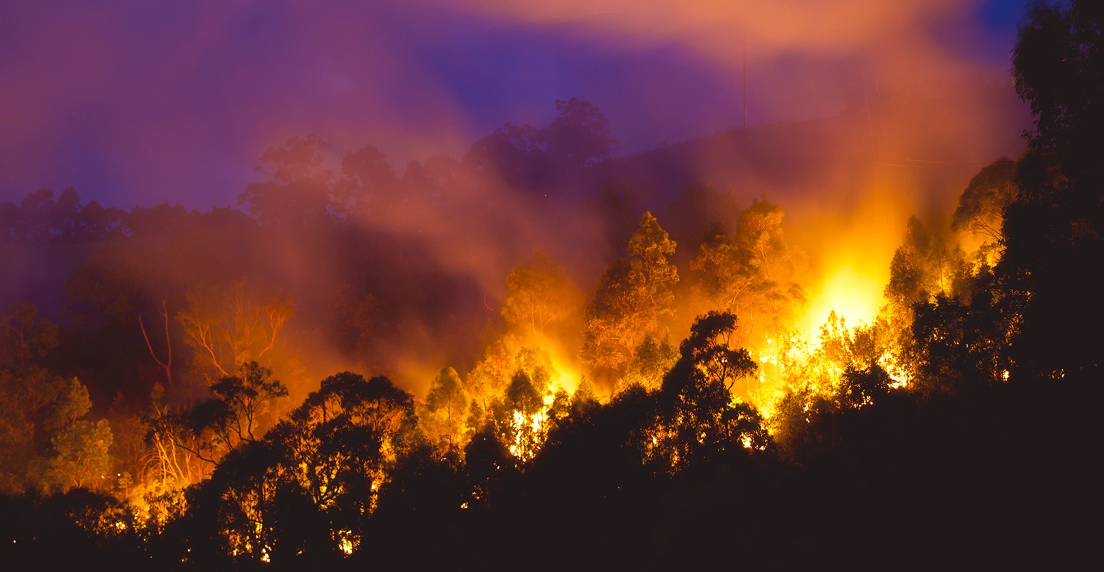 Bushfire附近纽卡斯尔，新南威尔士州，澳大利亚