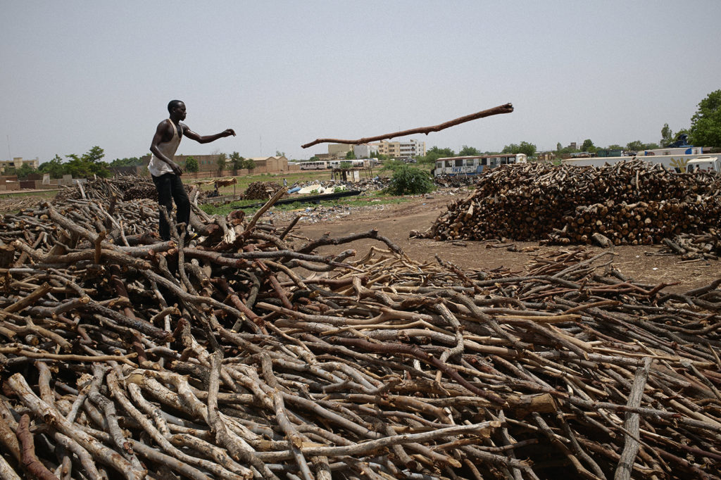 一个男人选择并扔木头在瓦加杜古削减和销售,2014年5月26日,布基纳法索。木头到达卡车和出售给供应商为大约400000个CFA或900美元。非法木材,大部分来自周围的森林。