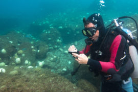F560N5科学潜水员在巴西圣保罗州海岸阿尔卡特拉兹岛珊瑚白化期间做笔记。