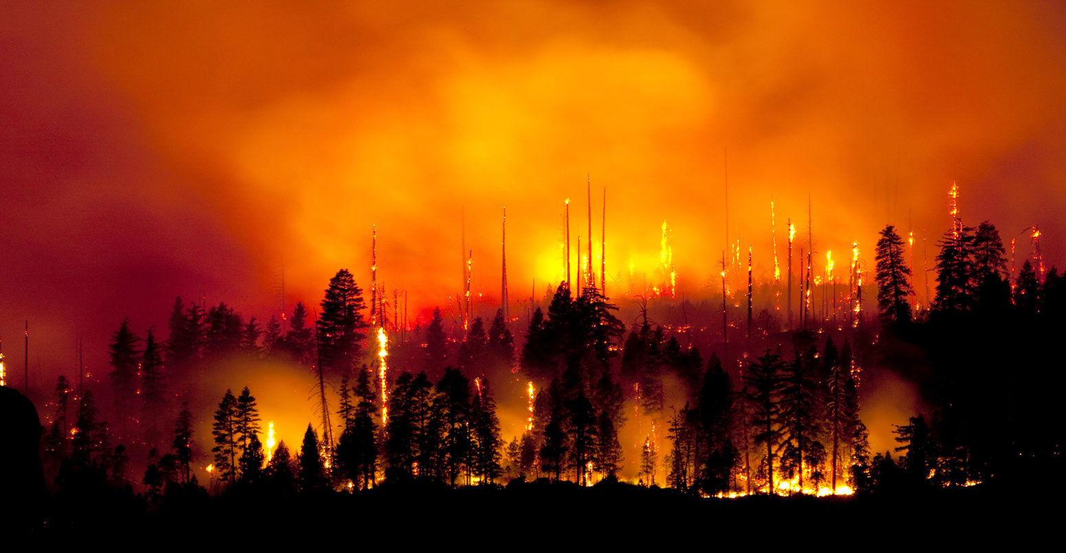 野火在优胜美地国家公园，2009年。Kip evans / Alamy股票照片。BT496N.