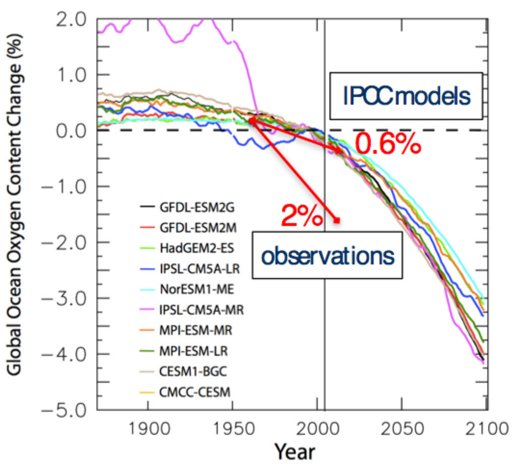 模拟进化模型的政府间气候变化专门委员会第五次评估报告平均下降0.6% 50年期间1960 - 2010 (Bopp后et al ., 2013)。期间的观测估计Schmidtko et al。(2017)达2%。