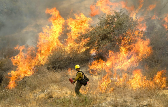 消防人员与2018年8月10日在加利福尼亚州洛杉矶克利夫兰国家森林中燃烧的圣火燃烧。PDXJ0A