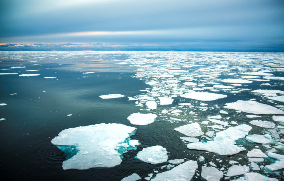北极海冰。图片来源：Rowan Romeyn / Alamy Stock Photo。f7akdm