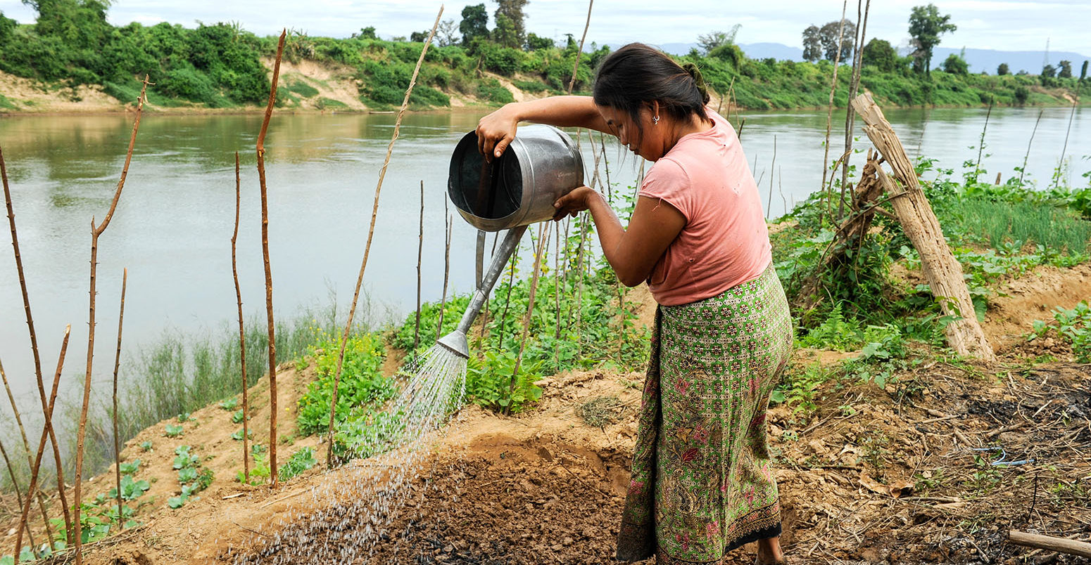 一条河附近的一个女人水作物在万象,老挝。信贷:Joerg Boethling除股票的照片。W18X5B