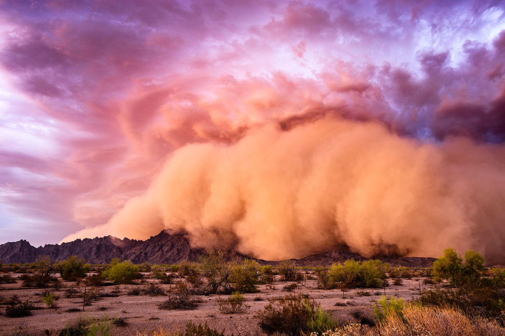 哈布沙暴的沙尘暴卷在莫霍克Tacna附近的山脉,亚利桑那州,2018年7月9日。信贷:约翰Sirlin除股票的照片。T0TRCA