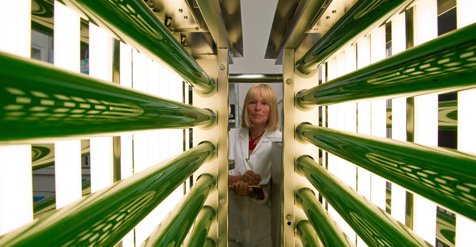 化学助理检查photoreactor微藻的生长在研究所进行谷物Bergholz-Rehbruecke(进口),德国信用:dpa联盟图片档案除股票的照片
