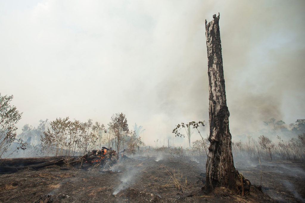 亚马逊森林大火在朗多尼亚、巴西、2019年8月24日。信贷:EFE通讯社除股票的照片。WB5D4Y
