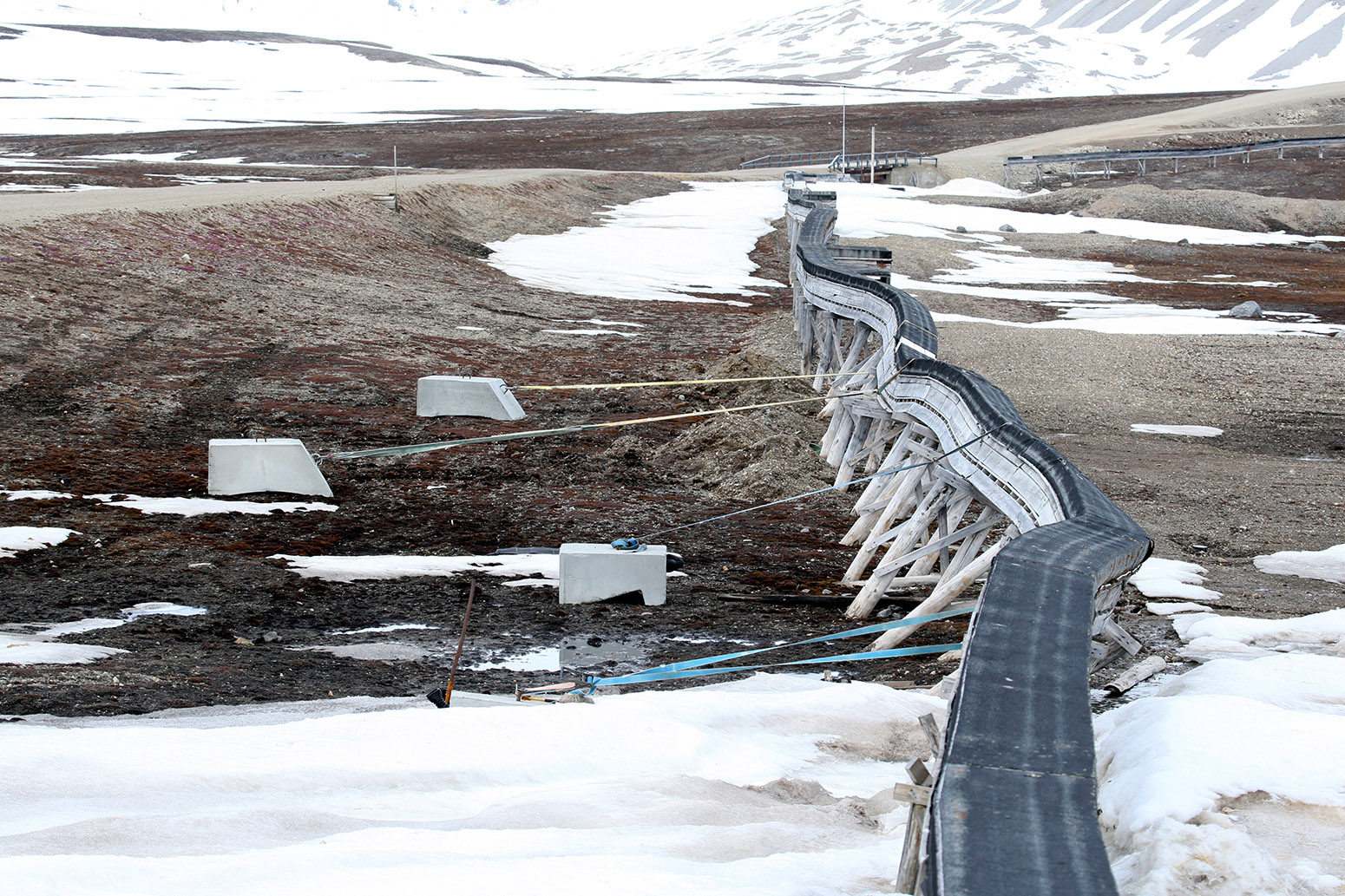 挪威斯瓦尔巴群岛永久冻土解冻。图片来源:blickwinkel / Alamy Stock Photo。CNRNFT