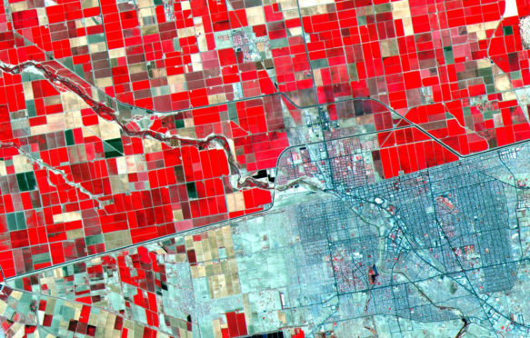 卫星图像显示了美国墨西哥边境的土地使用模式的巨大差异。郁郁葱葱的，与墨西哥更贫瘠的田野形成鲜明对比的是，定期在美国侧面刻板的农田。