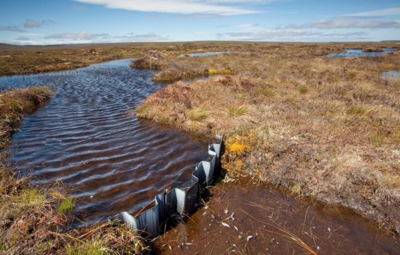 大坝在Rspb Forsinard流动，流量国家，凯西内斯，高地，苏格兰，在Rspb Forsinard的重新湿毯沼泽。信用：自然图片库/ alamy股票照片