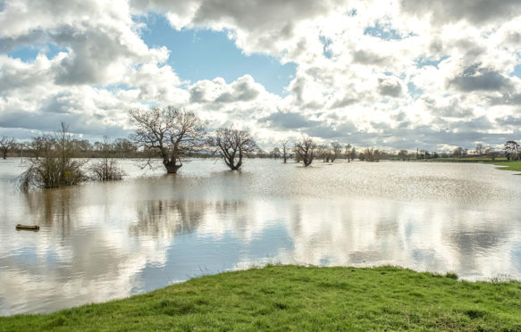 2020年2月27日，英国伍斯特郡被淹没的田地。来源:Shaun Davey / Alamy Stock Photo. 2B1Y2HB