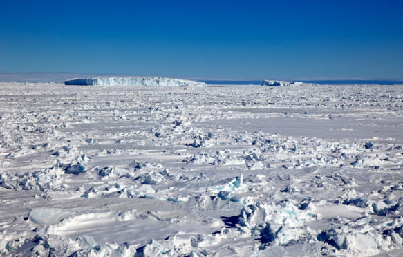 冰冷的景观，包装冰，婚礼海，南极洲。