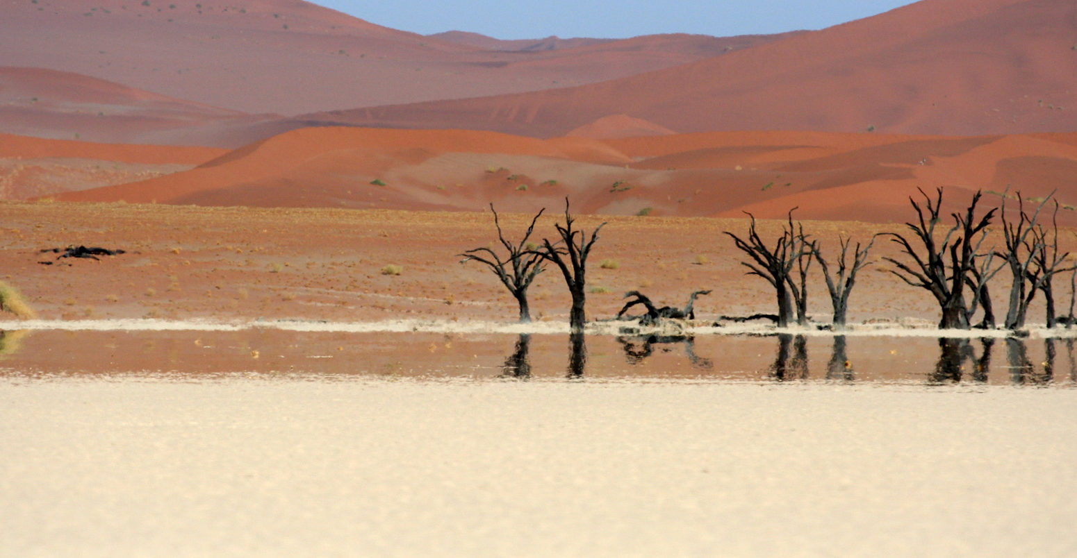 纳米比亚，有海市蜃楼的死谷树。