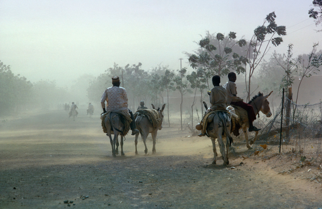 人骑驴在沙尘暴尘路,尼日利亚。信贷:眼睛无处不在的除股票的照片。