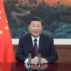 中国总统习近平介绍了全球服务峰会。