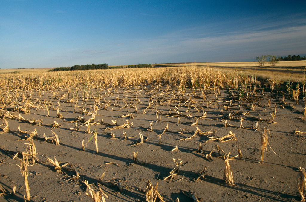 由于干旱，Nebraska，USA因造成的作物失败。