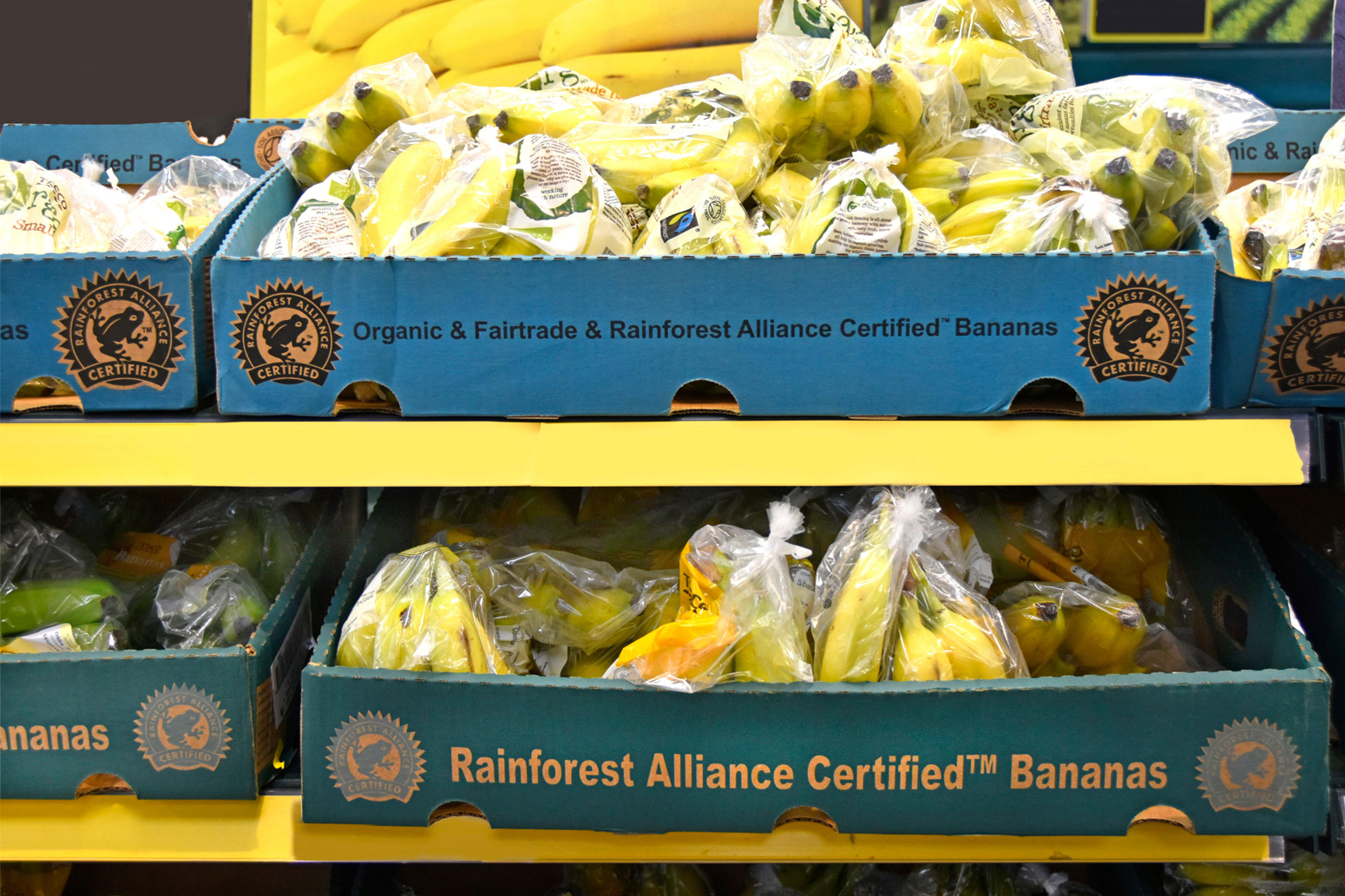 公平贸易和雨林联盟认证有机香蕉。