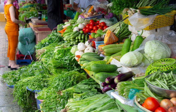 在农贸市场摊位用新鲜绿色蔬菜