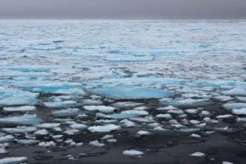斯瓦尔巴特群岛的海冰