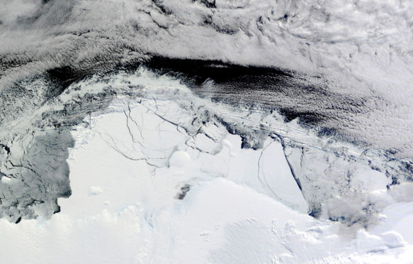南极洲的沙克尔顿冰架