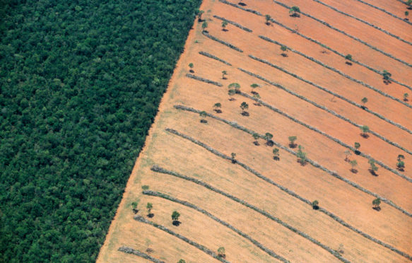 巴西南马托格罗索州热带森林砍伐鸟瞰图