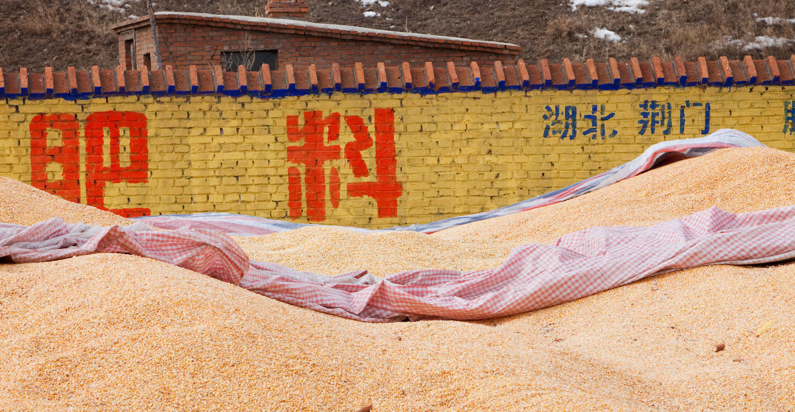 中国北方黑龙江省玉米存储