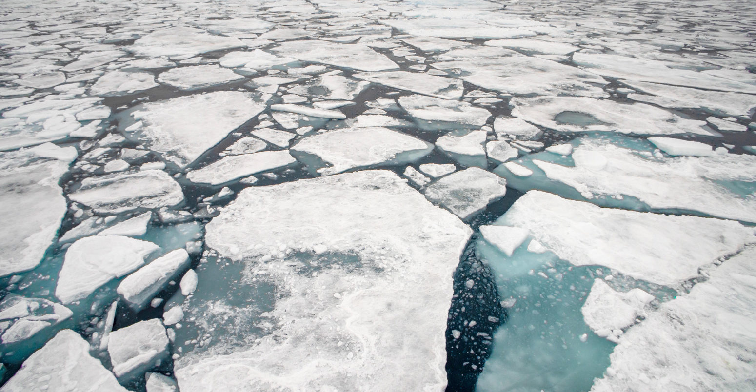 北极海冰浮冰在斯瓦尔巴特