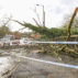 2021年11月，随着树木在强风中倒下时，风暴阿文（Storm Arwen）留下了一段破坏的痕迹