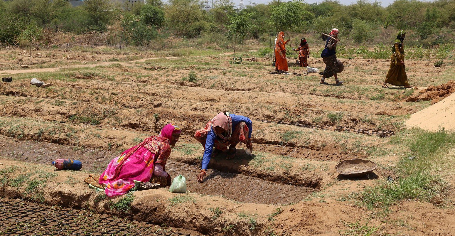 在比瓦尔的一个森林部门苗圃里，女工们正在把种子放进土壤袋中