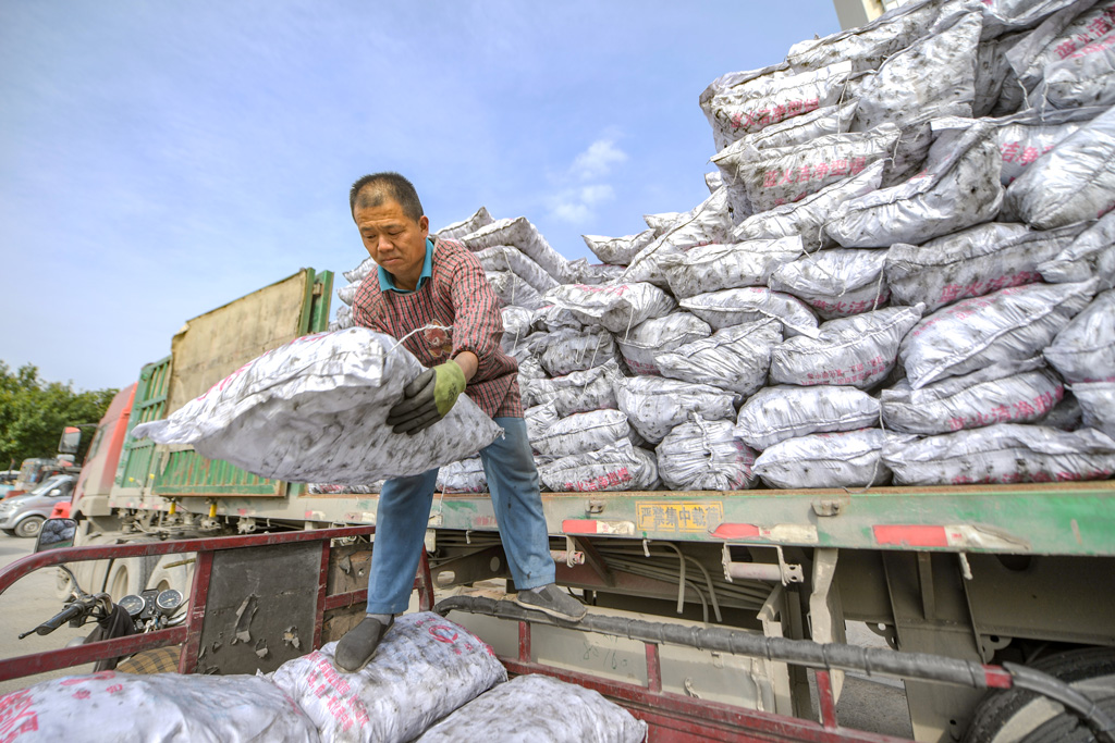 司机卸货洁净煤的居民在济南,中国山东省