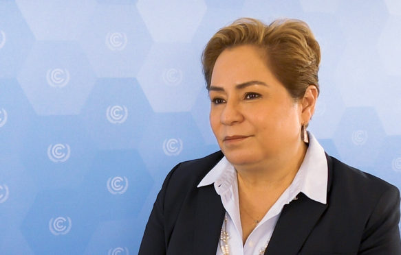 帕特里夏·埃斯皮诺萨（Patricia Espinosa）是即将卸任的联合国气候变化框架公约。