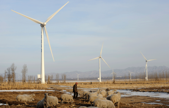 农民在中国河北省的一个风电场放牧绵羊