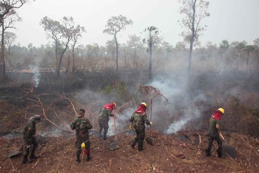 消防队员值班在亚马逊地区的森林火灾,Otuquis,玻利维亚,2019年8月26日。
